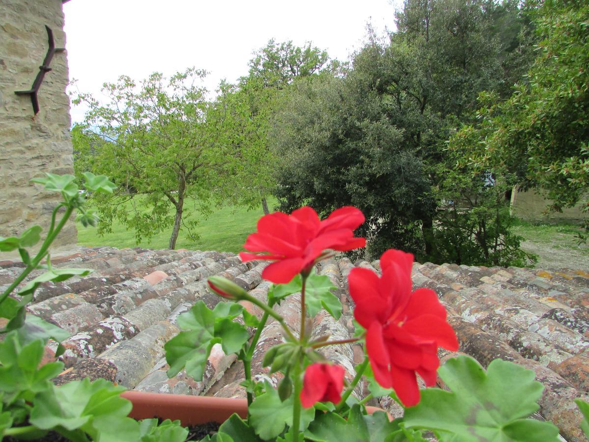 Le Querce Di Campolungo Bed & Breakfast San Giustino Exterior foto